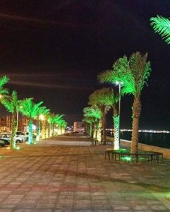 اجاره سوئیت در بوشهر